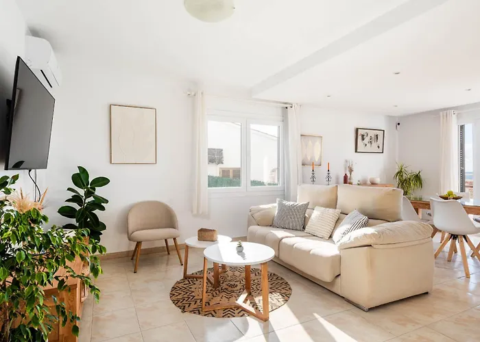 Dolfins By Escape * Son Bou